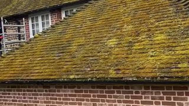 英国庭院屋顶和地面清洁#解压 #强迫症看了很享受 #男人减速带