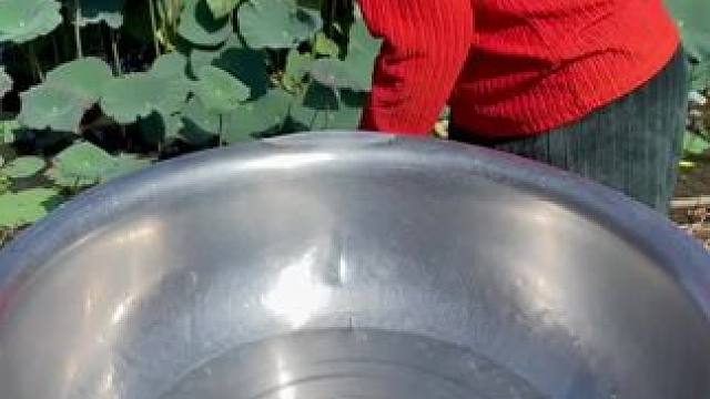 东南亚乡村美食 #农村生活 #乡村味道 #妈呀太香了 #夏天的味道