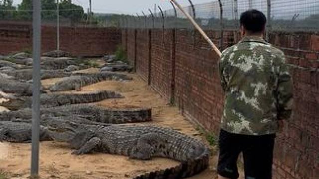 家人们，起床……