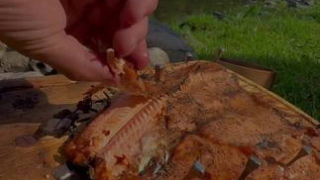 户外木板烤鱼 #露营报告 #露营美食报告