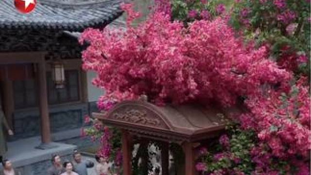 长公主花车巡游给范闲送贺礼……#张若昀#李小冉 #东方卫视庆余2年 #电视剧庆余年2