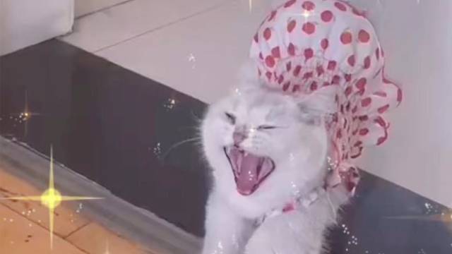 在家摆烂真是太累了～