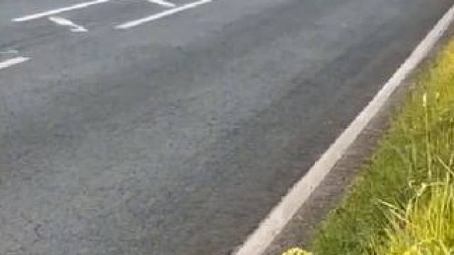 2024曼岛tt勇士… 2024曼岛tt勇士神级的过弯方式…声浪简直是太炸裂了…#曼岛tt #机车 