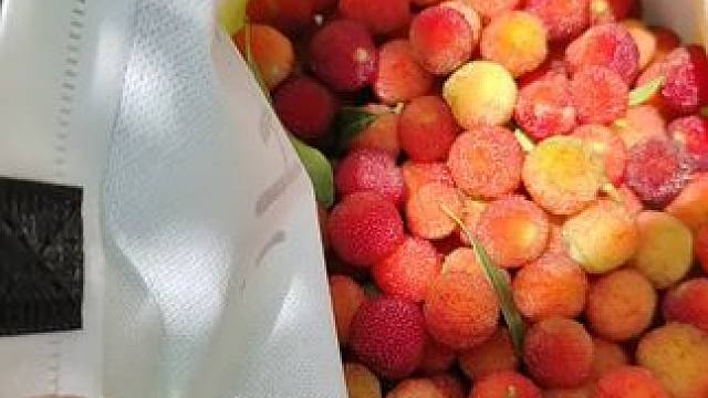 #新鲜采摘 #吃杨梅的季节