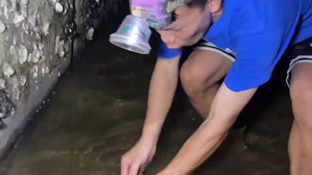 夜晚探海抓青蟹