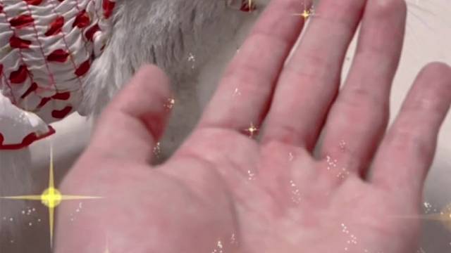 哎呀～你主动一点嘛