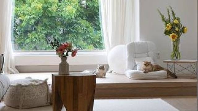 养猫老手的家有哪些设计巧思#家的样子 #万物可爱计划 #可爱在我家 #装修设计 #生活美学