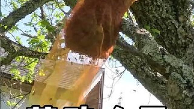 #劳动人民的智慧 #高手在民间 #神操作 #生活小妙招 #实用小技巧