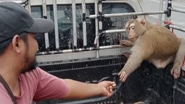 我发布了一个新视频，快来围观吧！