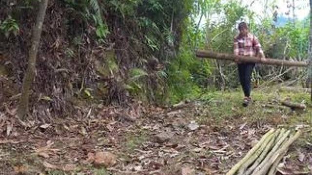 #野外生活纪录片 #野外生存 #荒野建造 #新农人计划2024农村生活 #感受一下原生态的乡村生活吧