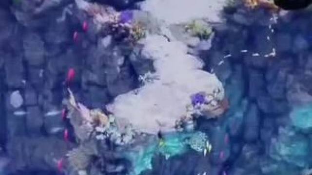 #游戏 #失落的方舟 #台服 #OTP验证