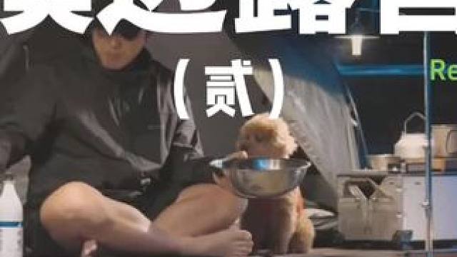 溪边露营（贰）
带着狗子去溪边的营地露营，还有菜地种的菜可以自助采摘，真棒~
 #露营 #萌宠  #