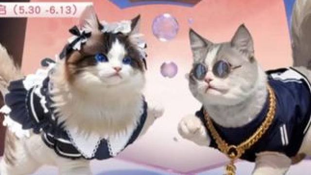 喵仔成双活动试水，金币白金卡明码标价的奖池-黎明觉醒 ：生机  #黎明觉醒 #黎明觉醒生机 #黎明觉