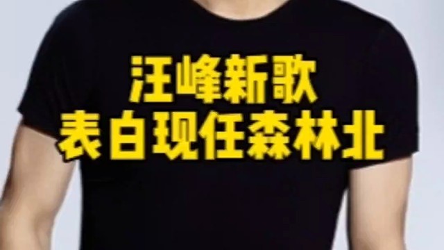 汪峰新歌，表白现任森林北