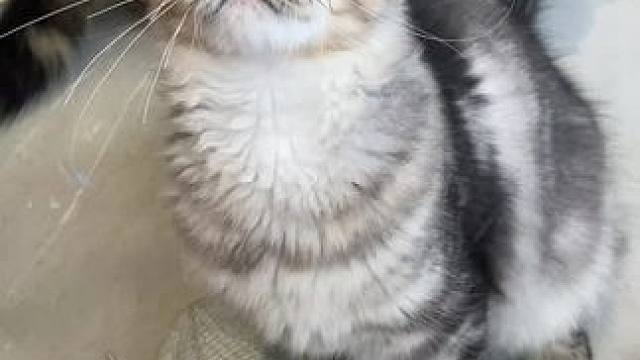 也许你只是换了一种方式陪伴我