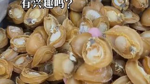 有没有做酒楼或者爱吃鲍鱼的大哥来帮我鉴定鉴定，去年的老鲍鱼干了，色泽金黄的黄金鲍，吉品鲍，国产大连鲍
