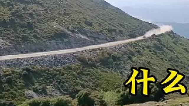 这惊人的速度，让人不禁联想到《飞驰人生》中那些令人惊艳的画面#wrc拉力赛