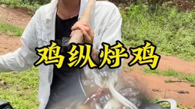 鸡纵烀鸡#新农人计划2024#回村后的我#农村生活