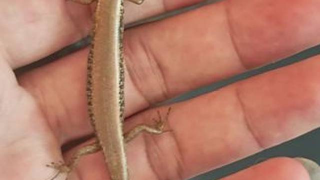 #努力训练热爱生活