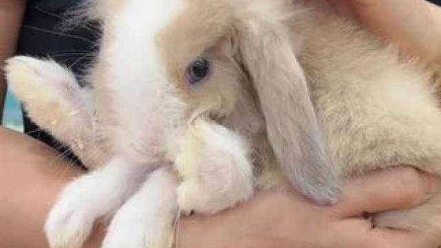 19.9就能带娃在这里玩一天，还不热！#室内儿童乐园 #遛娃好去处 #亲子游玩好去处 #周末去哪玩 