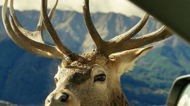 谁能不爱这磅礴的生命力啊
#交换世界计划 #环球旅行