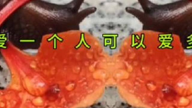 蜗牛花瓣☔️雨水#奇妙的动物 #难得一见 #你能叫出它的名字吗 #神奇的植物