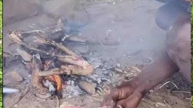 来吃半生不熟的烤肉吧
#野外生活纪录片 #荒野求生 #野外生存技能 #非洲生活 #庆余年2爆改德佑湿