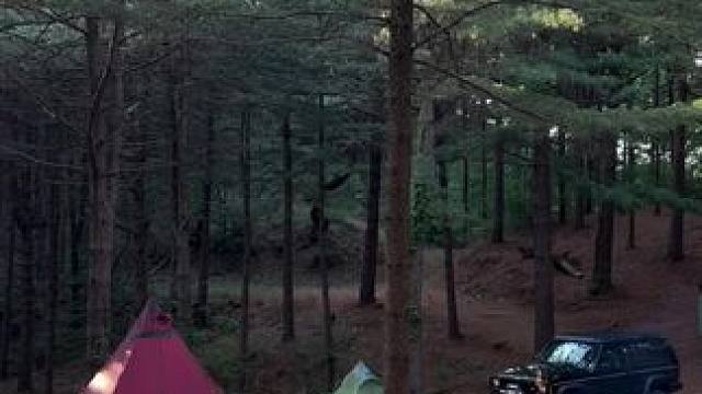 好友露营聚会 #露营报告