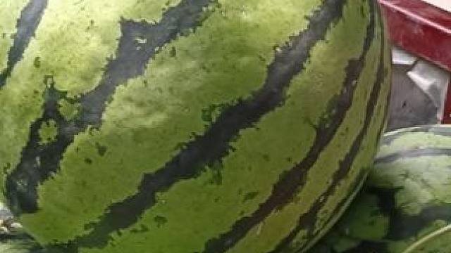 我发布了一个新视频，快来围观吧！