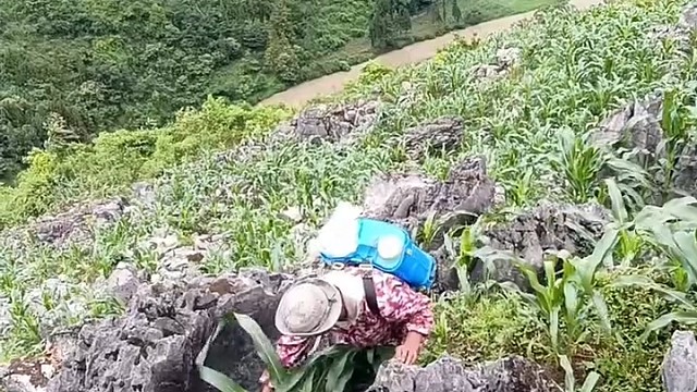 夹缝里求生存[赞]