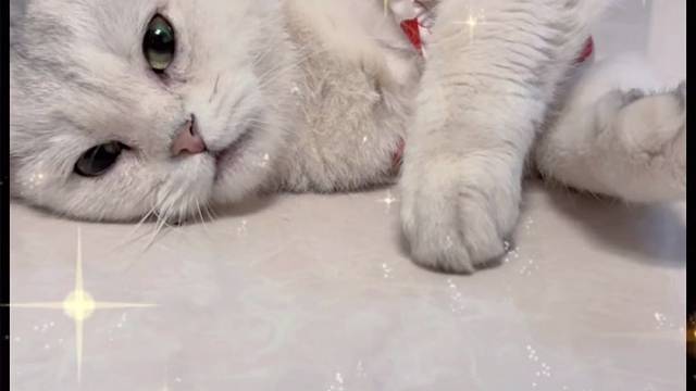 要来一起玩么～