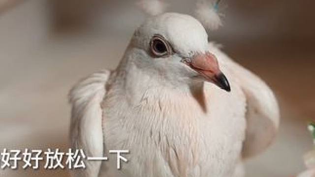 为什么逃不掉呀#雨洁