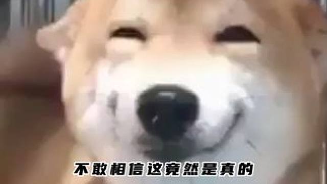 不敢相信这是真的，年过了一半儿好运轮到我了 #iphone