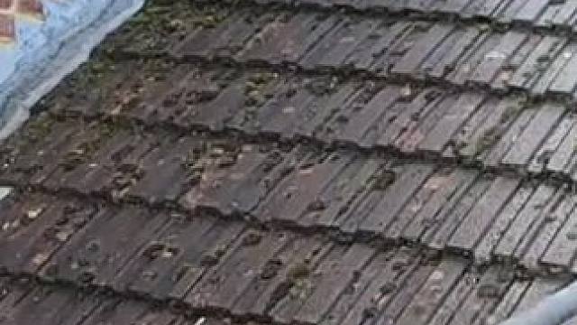 英国庭院清理#解压 #庭院清理 #打扫卫生