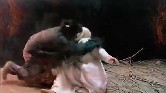 下载《西瓜视频》，免费观看精彩后续/精彩海量免费短剧免费看！ #因为一个片段看了整部剧