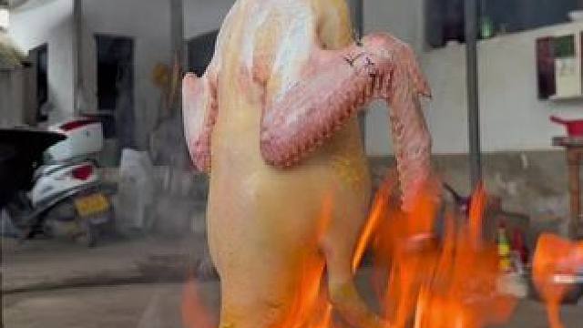 家里的鸭子太多了 控制一下数量#鸭子 #地方特色美食 #双凤#啤酒鸭