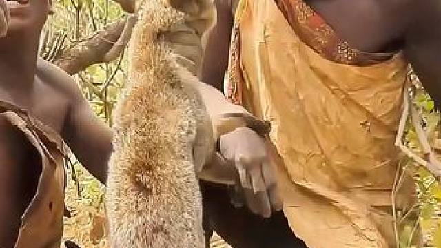 原始部落深入地洞 捡到大耳狐#荒野求生 #纪录片解说 #原始技术