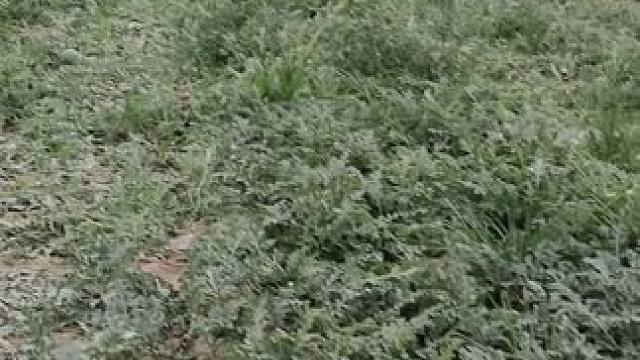 我发布了一个新视频，快来围观吧！