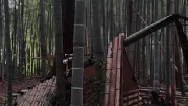 一个竹窝 #露营报告