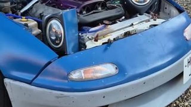 太可怜了，看着就痛…… 