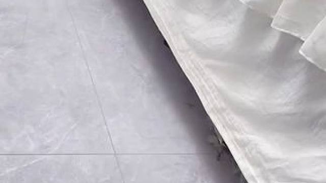 加长缝隙除尘掸床底清扫清扫神器伸缩缝隙清洁刷#缝隙除尘掸  #清洁神器家庭好帮手