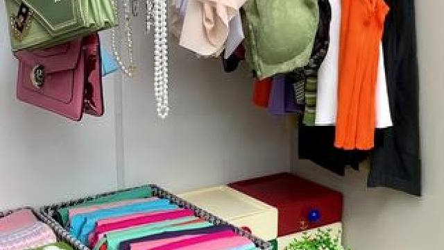 八钩衣架可以同时收纳8件内衣或者吊带，方便好用拿取也一目了然#衣橱整理  #整理收纳