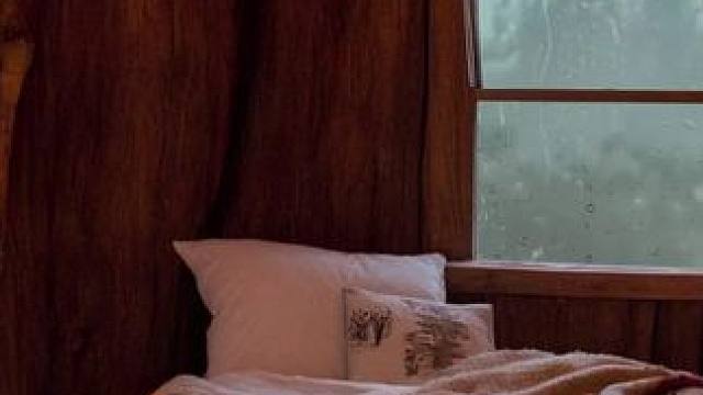 大树上的避雨天堂，暴雨天的舒适树屋，在这里放松入睡吧！ #雨声助眠 #助眠视频 #解压助眠 #雨声视