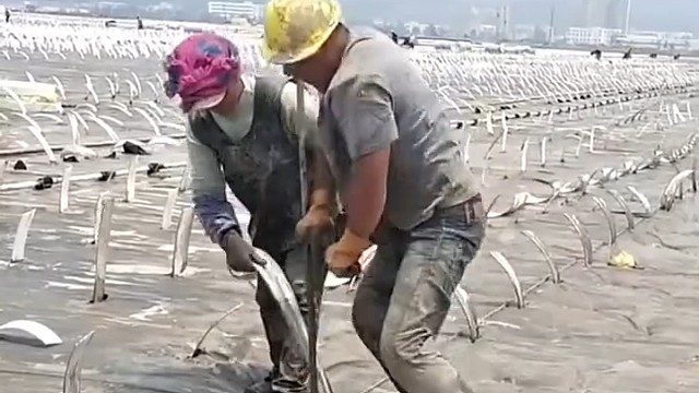 谁能告诉我这是干嘛的