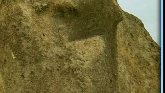 在未来世界，中文是全球通用语言，不会中文是件很丢脸的事#电影解说