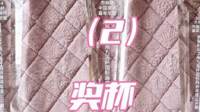 2024方和杯中国麻将嘉年华暨首届彩云之南九莲杯国标麻将年度公开赛（2）——奖杯#麻将 #国标麻将 