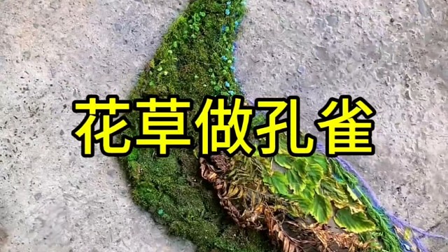 妙手回春啊