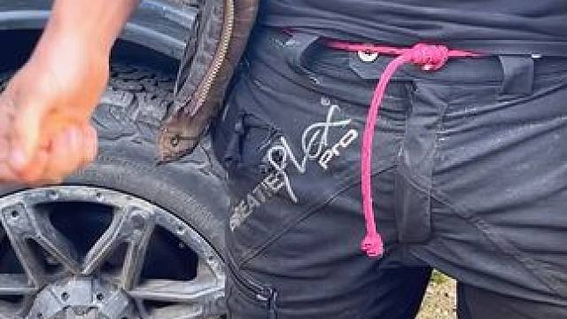 #生活小妙招 #实用小技巧 #小妙招大作用 #生活小技能 #技能学院