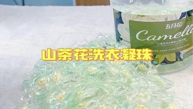 这个山茶花洗衣凝珠真的太好闻，太香了，而且洗得非常干净#洗衣凝珠 #洗护好物 #好用的洗衣凝珠推荐