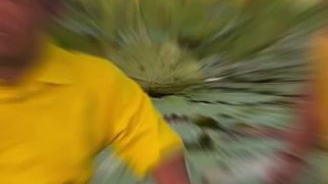 东南亚矮子 #农村生活 #每日一笑 #东南亚风情 #笑到肚子疼 #看一遍笑一遍太逗了